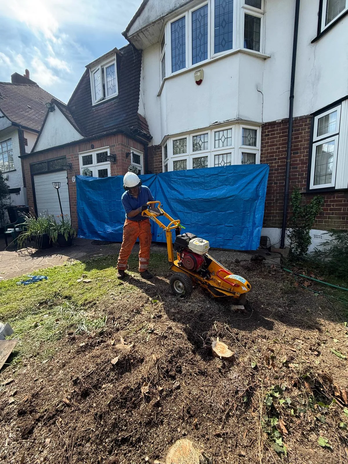 Overhead view of a stump grinder reducing a tree stump in a garden