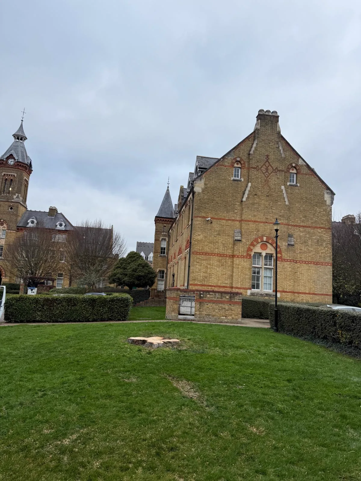 The same green after the dead tree was removed, leaving a clean cut stump and tidy ground