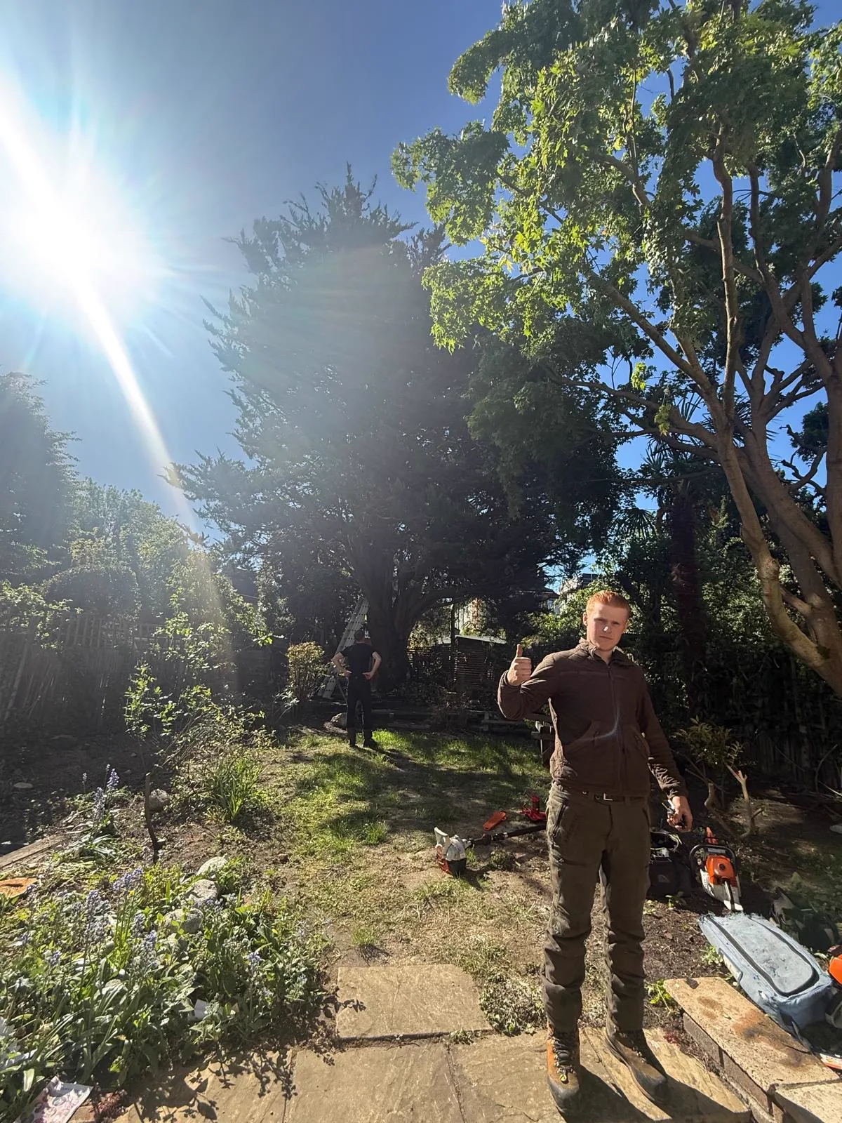 Newton's Tree Services crew working through a garden tree job on a sunny day